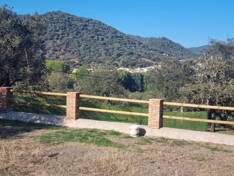 Natural landscape, Garden, Mountain view