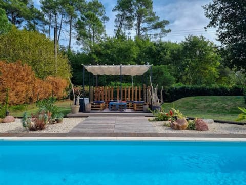 Garden, Pool view, Swimming pool