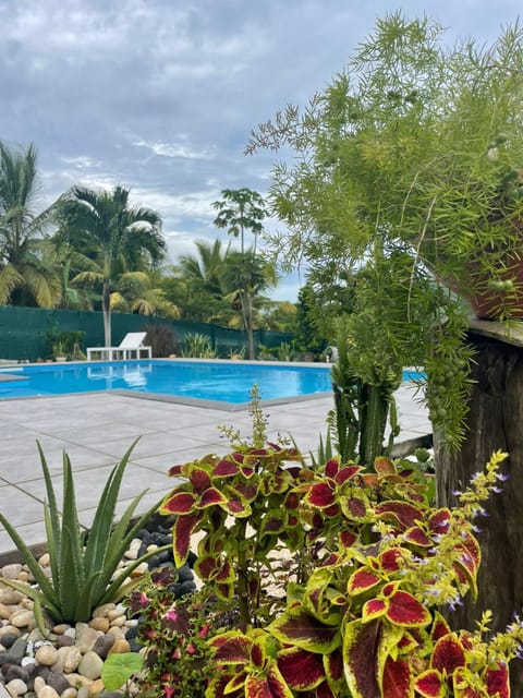 Natural landscape, Garden, Garden view, Pool view, sunbed