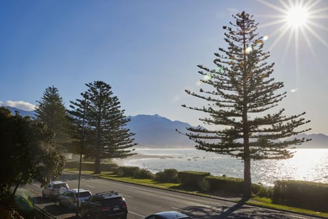 Waves on the Esplanade Apartment in Kaikōura