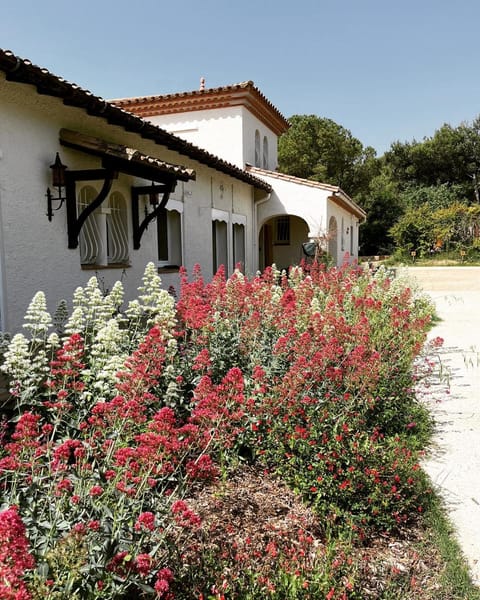 Property building, Garden, Garden view