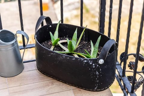 CASA MONTINI Apartment in Malcesine