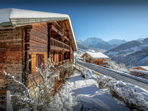 Property building, Day, Natural landscape, Winter, Mountain view