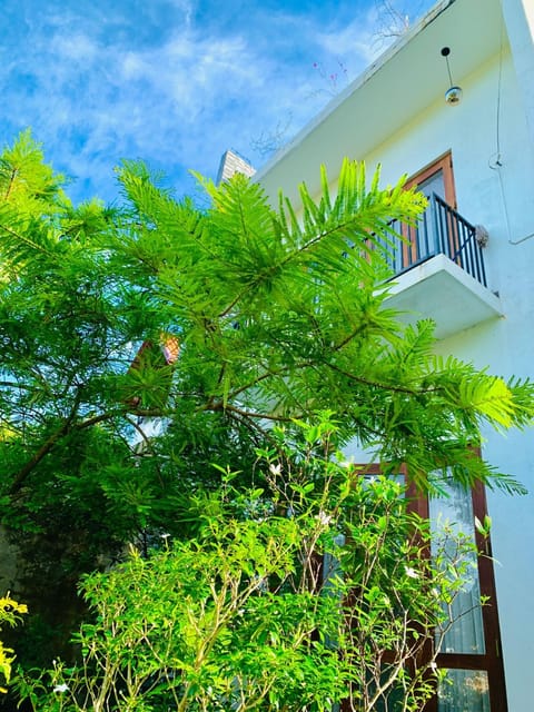 Property building, Garden view