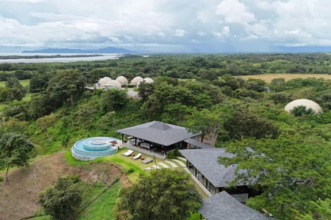 Natural landscape, Bird's eye view, Garden, Garden view, Swimming pool