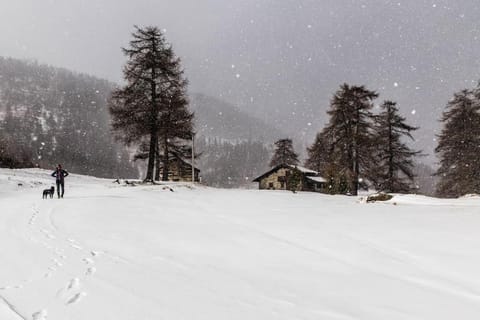 Centro di Aosta - Bilocale grazioso e silenzioso Apartment in Aosta