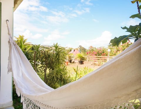 Day, Garden, Garden view