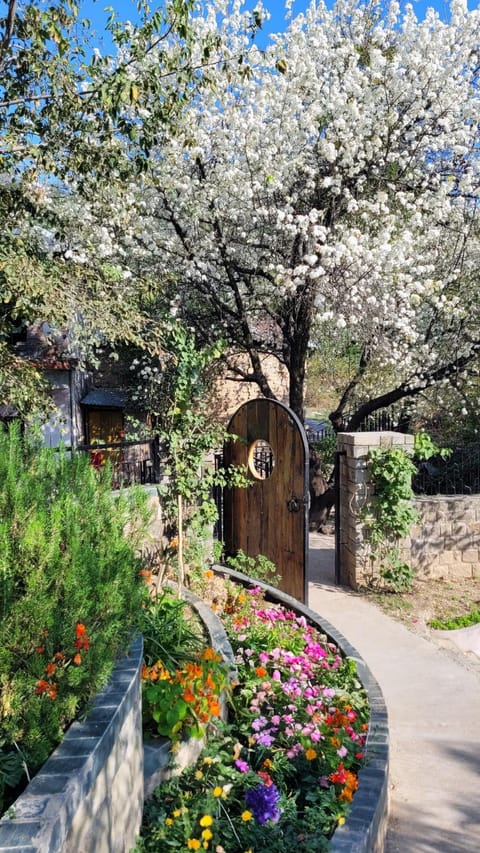 Spring, Garden, Garden view