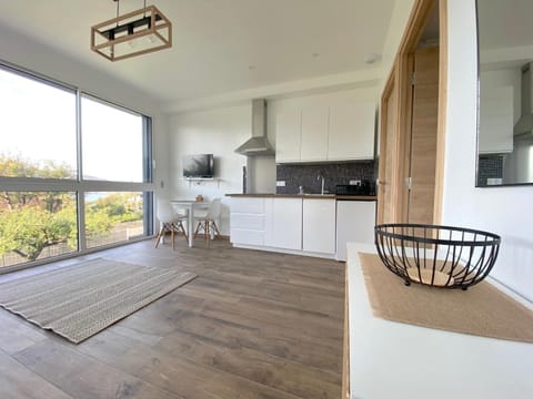 Garden view, kitchen