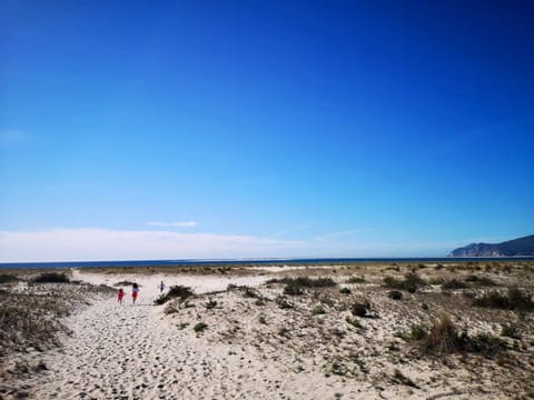 Casa Do Mar - Sea View Beach House - Troia Comporta House in Setúbal Municipality