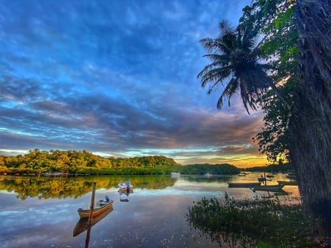 Natural landscape, Balcony/Terrace, River view, Sunset