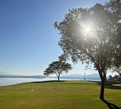 Natural landscape, Lake view