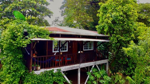 True Nature Jungle House House in Bastimentos Island