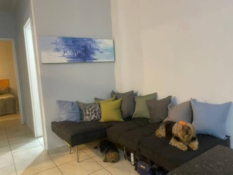 Lindo Apto, Aconchegante, Aceita PET pequenos! Apartment in Barra Velha