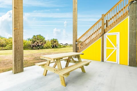 Yellow Daisy by the Sea House in Bolivar Peninsula