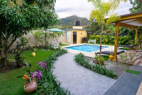 Garden, Pool view, Swimming pool