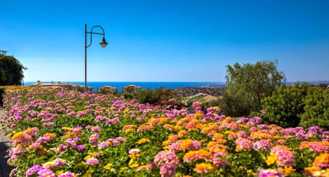 Garden, Other, Sea view