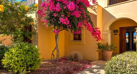 Property building, Facade/entrance, Other, Garden view