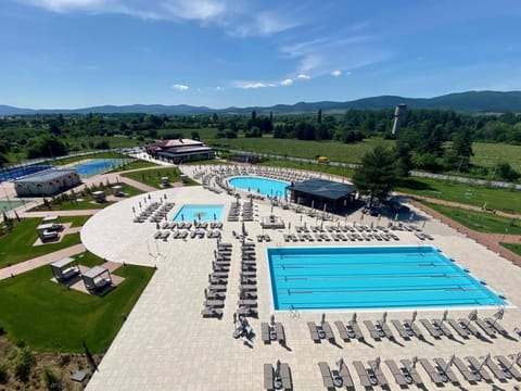 Swimming pool, sunbed