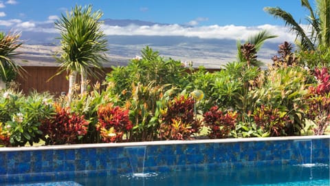 ISLAND SEABATICAL Restful 3BR Ainamalu Home with Private Pool House in Puako