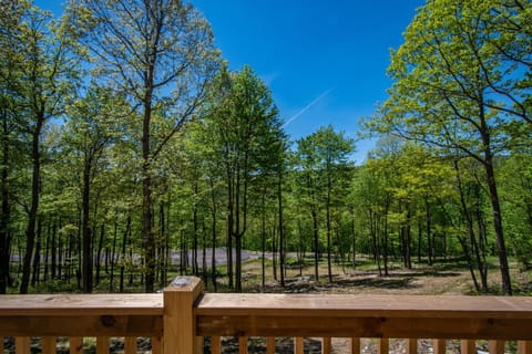 Space Mountain House in Garrett County