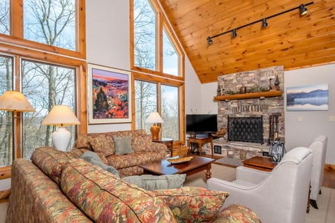 One Ski Hill Maison in McHenry