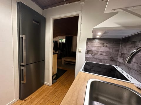 Kitchen or kitchenette, minibar, pet friendly