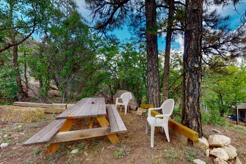 Whispering Pines 323 House in La Plata County