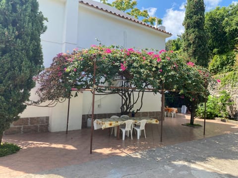 Property building, Patio, Garden, Garden view