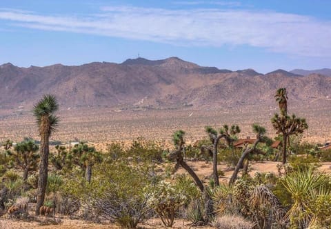 JT Cottage Casa in Yucca Valley