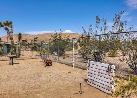 JT Cottage Casa in Yucca Valley