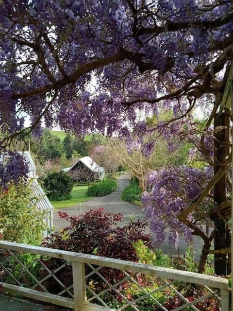 Warm Earth Cottages Bed and Breakfast in Bay Of Plenty