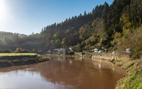 Day, Natural landscape, River view