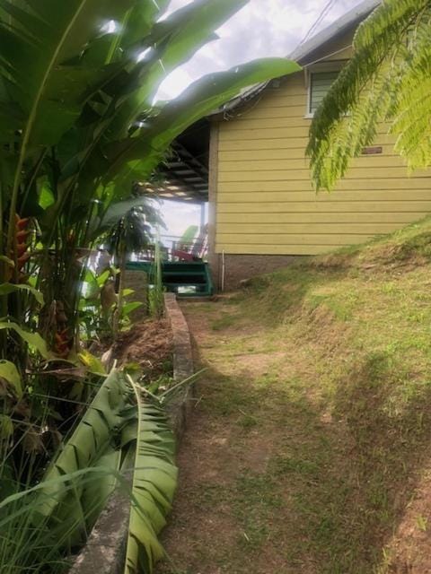 Ginger Lodge Cottage, Peters Rock, Woodford PO St Andrew, Jamaica - this property is not in Jacks Hill Condo in Kingston