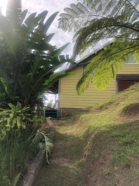 Ginger Lodge Cottage, Peters Rock, Woodford PO St Andrew, Jamaica - this property is not in Jacks Hill Condo in Kingston