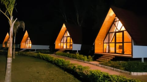 Property building, Night, Garden, Garden view