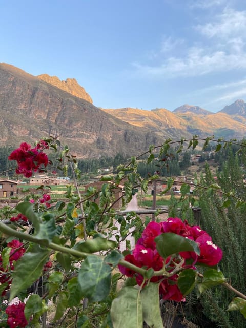 Sonqo Andino Hospedaje Medicina - La Rinconada Alojamento de férias in Pisac