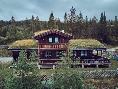 Grand cabin Nesfjellet lovely view Jacuzzi sauna House in Viken, Norway