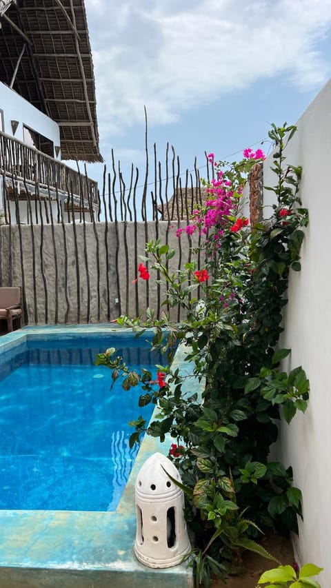 Day, Garden, Garden view, Pool view, Swimming pool