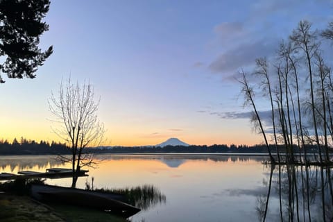 The American Dream House in Lakewood