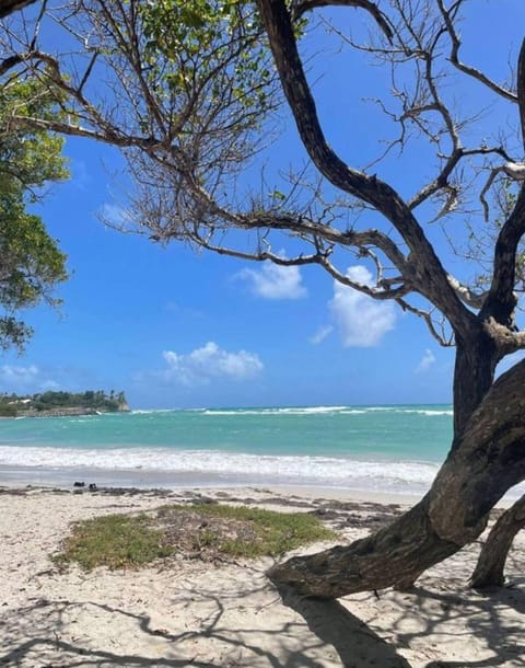 Appartement Carambole Apartment in Grande-Terre, Guadeloupe