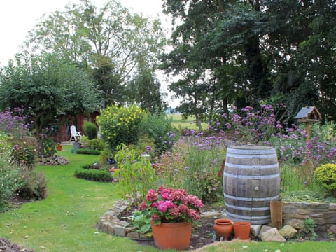 Garden, Garden, Garden view