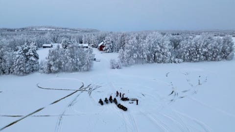 Majestic 3 Bedroom Villa With Sauna Villa in Rovaniemi