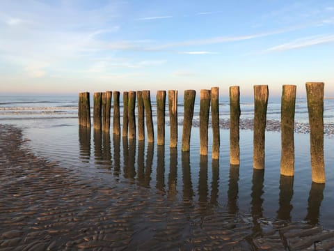 Beach, Sea view