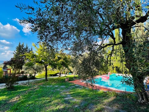 Garden, View (from property/room), Swimming pool