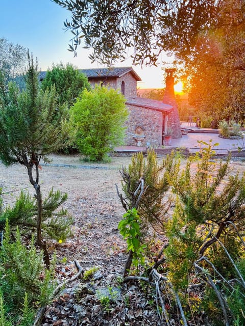 Property building, Natural landscape, Garden view, Sunset