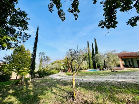 Garden, Mountain view, Swimming pool