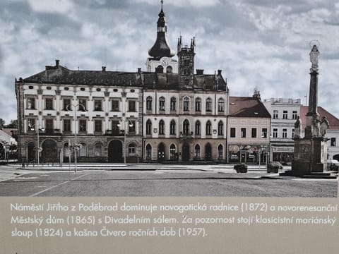 VÍCHOVA VILA_1935 - funkcionalistický skvost v Hořicích v Podkrkonoší Apartment in Lower Silesian Voivodeship