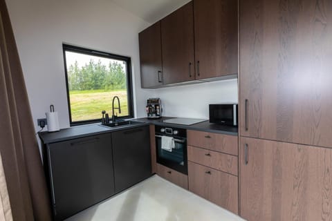 Kitchen or kitchenette, dishwasher, minibar, pet friendly, stove