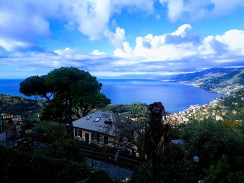 CASAVIVA - Bilo with SeaView and parking in Camogli Apartment in Camogli